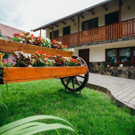 Hotel Gyoengyvirag Panzio Lupeni  Exteriér fotografie