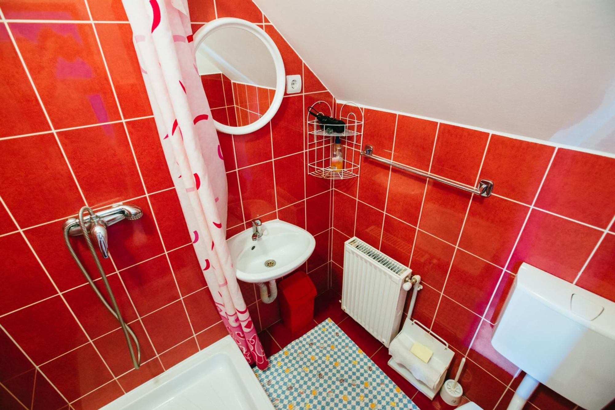 Hotel Gyoengyvirag Panzio Lupeni  Exteriér fotografie