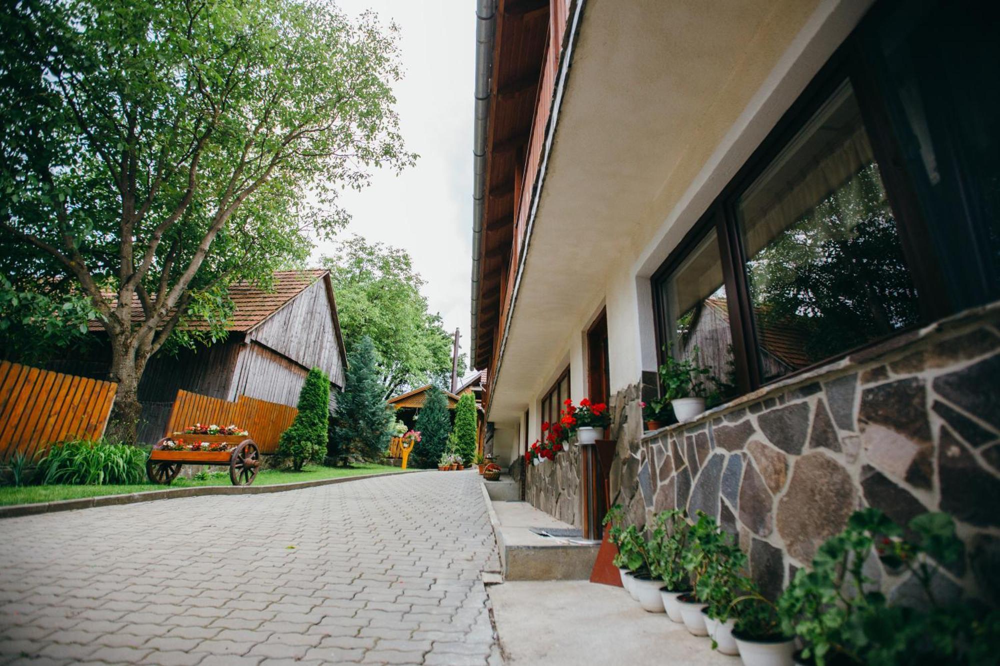 Hotel Gyoengyvirag Panzio Lupeni  Exteriér fotografie
